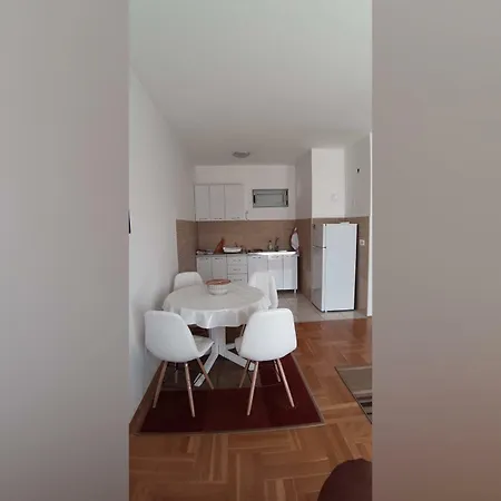 Cozy New 아파트 포드고리차